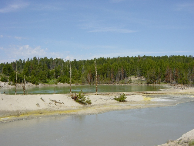 Yellowstone (23)