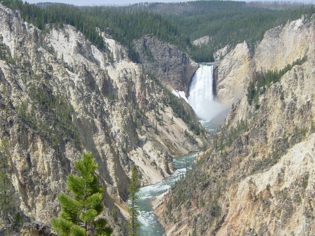 Yellowstone (24)