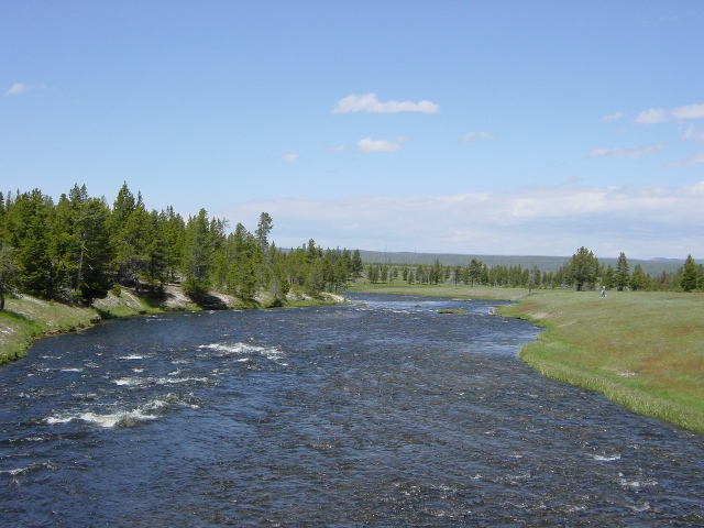 Yellowstone (25)