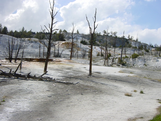 Yellowstone (26)