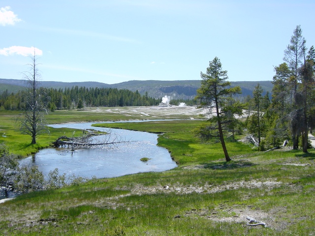 Yellowstone (27)