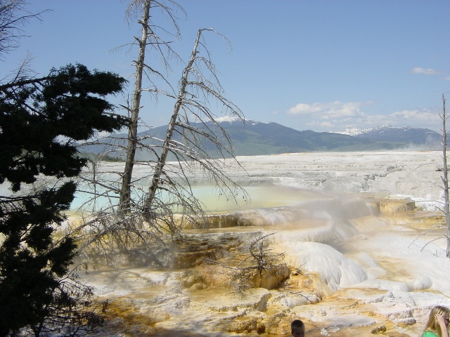 Yellowstone (3)