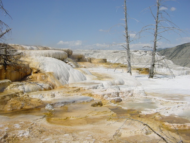 Yellowstone (4)