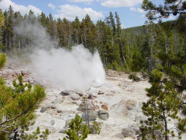 Yellowstone (5)