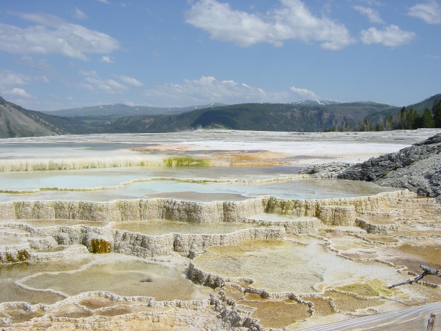 Yellowstone (6)