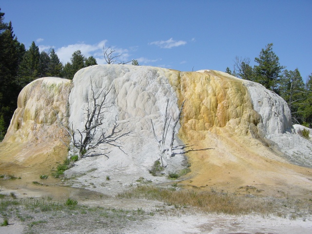 Yellowstone (7)