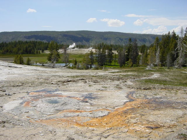 Yellowstone (8)