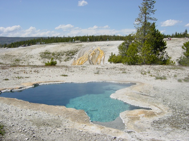 Yellowstone (9)